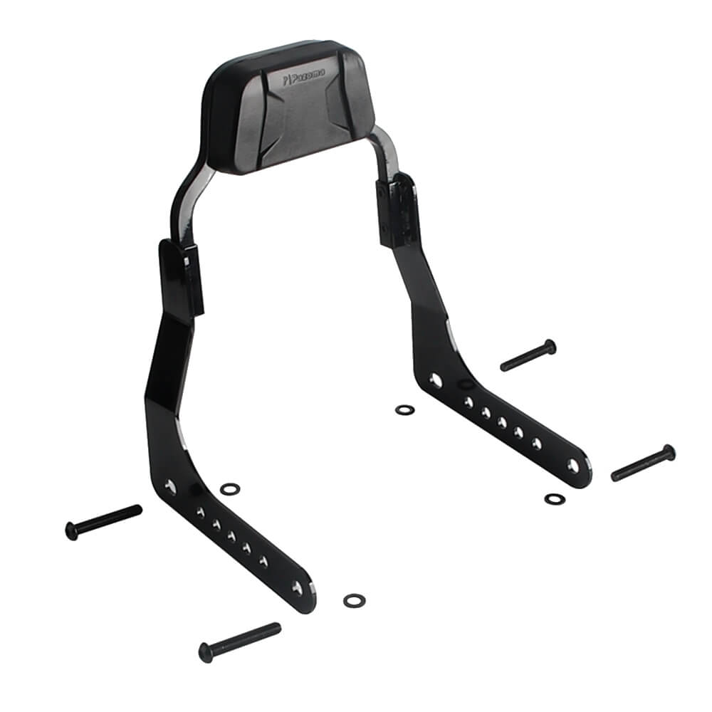 Harley M8 Softail Low Rider ST FXLRST FXRST Sport Glide FLSB Club Style Passenger Backrests Low profile Fixed Mini Sports Sissy Bar Kit 18-up - pazoma