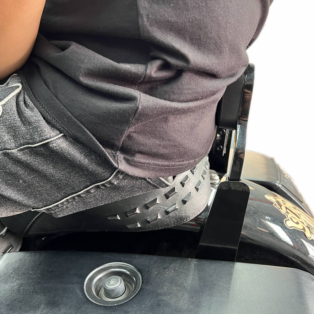 Harley M8 Softail Heritage Classic FLHCS Hydra-Glide Revival FLI Club Style Passenger Backrests Low profile Fixed Mini Sports Sissy Bar 18- - pazoma