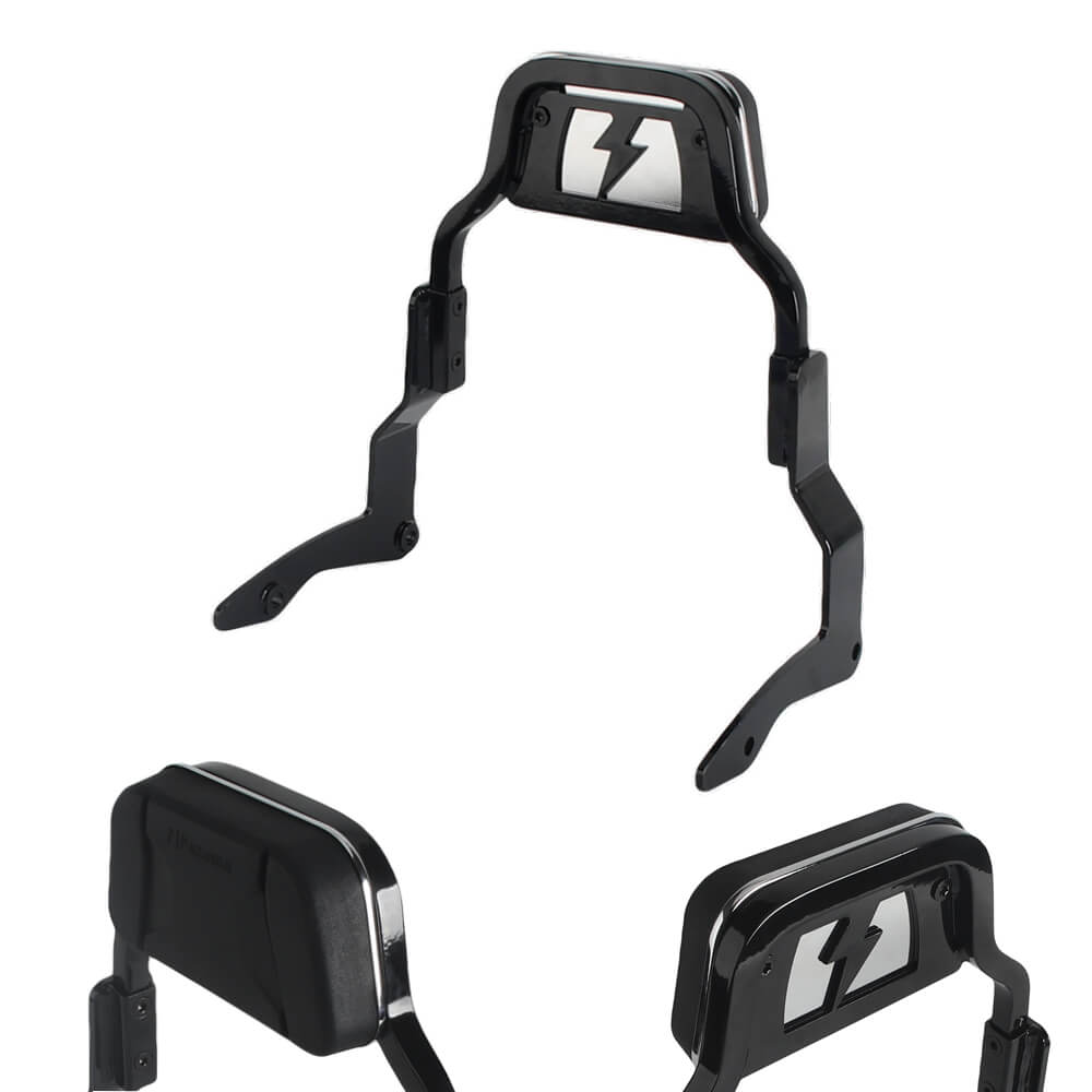 Harley Touring Road Glide King Electra Street Glide ST CVO FLHRXS FLHT FLTRXSE FLHXSE Bagger Backrests Low Profile Fixed Sissy Bar Kit 14-25 - pazoma