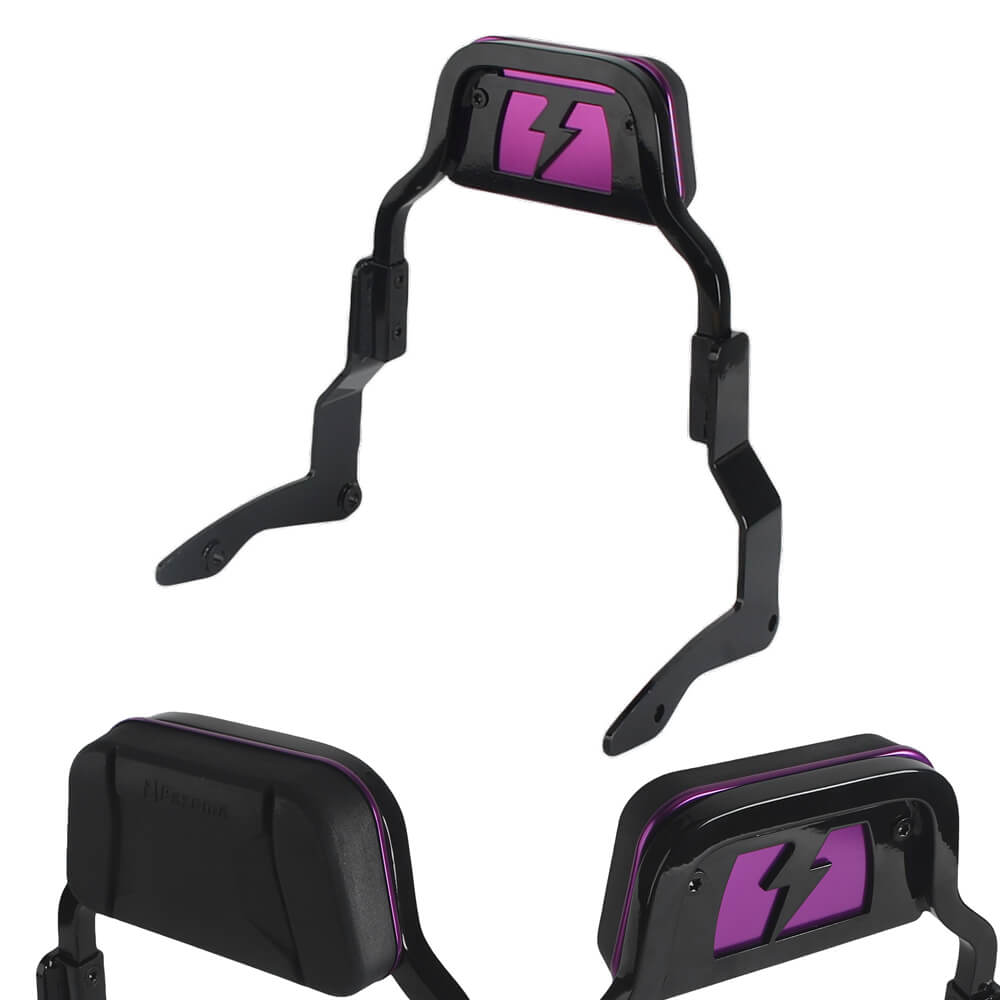 Harley Touring Road Glide King Electra Street Glide ST CVO FLHRXS FLHT FLTRXSE FLHXSE Bagger Backrests Low Profile Fixed Sissy Bar Kit 14-25 - pazoma