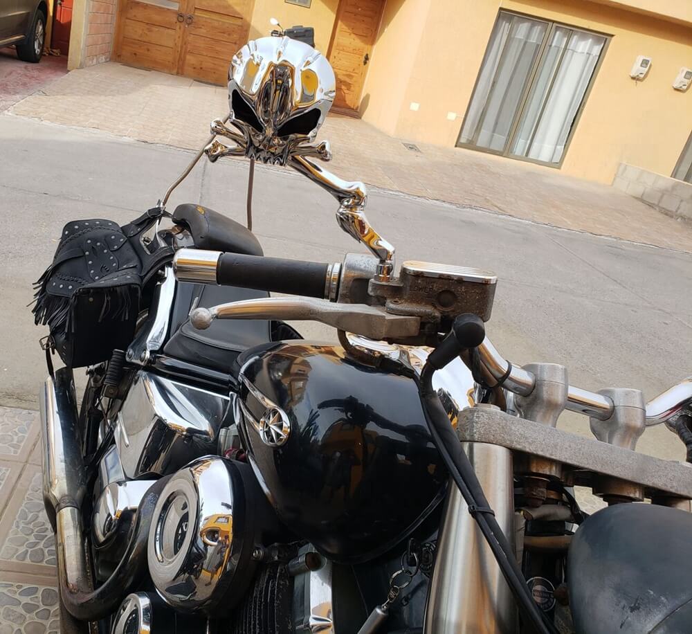 Motorcycle Custom Skull Style Aluminum Head Bones Rear View Mirrors Adjustable Stem Harley Davidsons Suzuki Honda Kawasaki Cruisers M10 5/16" - pazoma