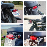 Motorcycle Lucas 564 Style BSA Triumph Norton Enfield Taillight TailLamp Chopper Bobber Bonneville Cafe Racer Scrambler - pazoma